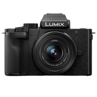 Panasonic LUMIX G100D 4K Mirrorless Camera with 12-32mm Lens